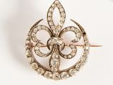 an image of a diamond broochle is shown on a white surface