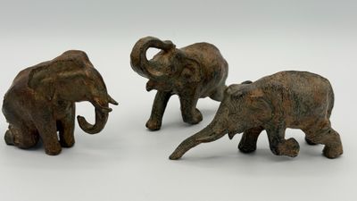Pierre CHENET (XXIe siècle) Eléphants