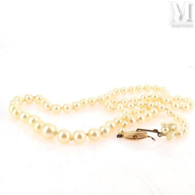 a close up of a white pearl necklace with a gold clasp