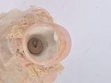 a close up view of a vase with lace on it