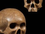 two human skulls are shown on a black background, one is a skull and the other is a human skull