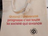 Photo 6/20 du lot