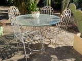 a glass table and chairs in a garden with a cactus