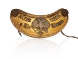 an image of a gold belt with a lion on it