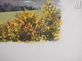 a picture of a painting on the wall of a house