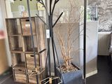 un arbre chargé de pommes dans une pièce