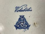 a picture of a blue and white plate with a triquet on it