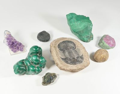 toutes sortes de roches et de pierres sur une surface blanche