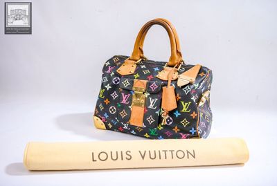 louis vuitton multicolore monograme speedy bag
