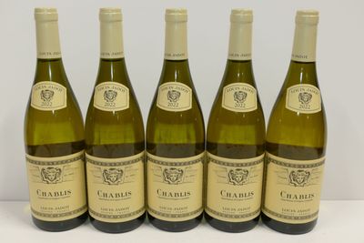 six bouteilles de vin sont alignées sur une surface blanche