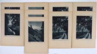 quatre photographies en noir et blanc représentant des arbres et une montagne
