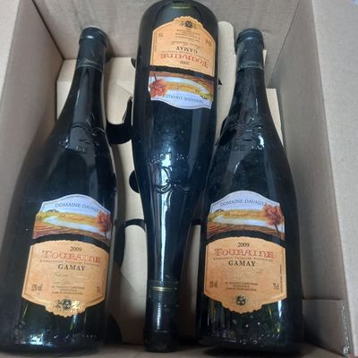 6 Bouteilles domaine DAVAULT TOURAINE GAMAY 2009