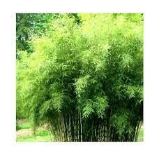 Destockage & Invendus