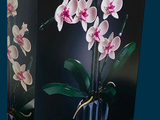 une boîte contenant un bouquet de fleurs