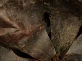 a close up of a piece of metal with a knife in it