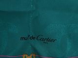 turquoise green jacket with pink trim and a gold logo on the front