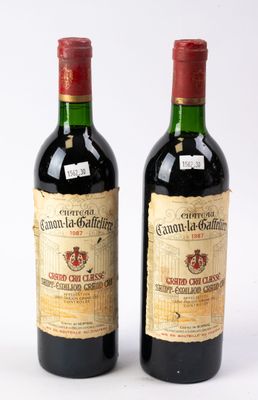 deux bouteilles de vin rouge posées l'une à côté de l'autre sur une surface blanche
