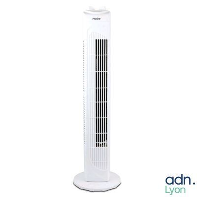 Lot de 2 ventilateurs tour - PROLINE - FT79M - Descellé - TV…