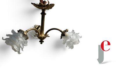an image of a chandelier with three white flowers hanging from the ceiling