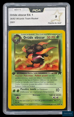 une image d'une carte Pokémon dans un étui en plastique