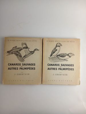 Voici deux livres posés sur une surface blanche : l'un représente un canard et l'autre représente un canard.