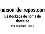 Photo 1/1 du lot