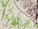 an image of a drawing of a leaf on a piece of paper