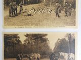 two old black and white photos of horses and dogs in a field