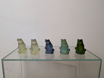 quatre grenouilles assises sur une étagère en verre