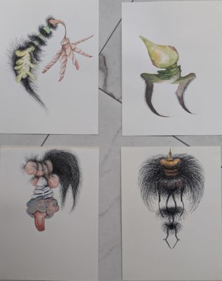 quatre dessins de couleurs différentes représentant divers animaux sur un fond blanc