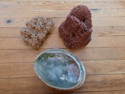 un petit bol et un autre petit bol posés sur une table en bois