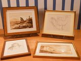 three framed pictures of birds on a table next to a striped wall