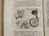 an open book with a drawing of animals on it