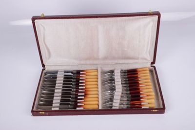 a case with a set of knives and knives in it