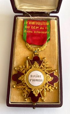 a gold medal with a red ribbon in a case