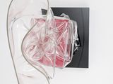 a clear bag with a pink object inside of it