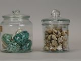 two glass jars with shells inside of them on a table