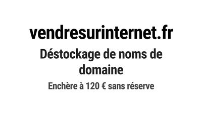 Nom de domaine vendresurinternet.