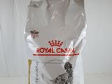 royal canin urinary s / o dry dog food