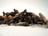 a pile of root vegetables on a table with a pair of pliers