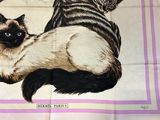 two cats that are laying down on a towel