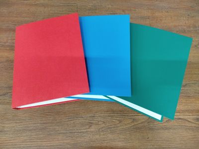 Lot de 110 classeurs de la marque LIDERPAPER