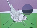 une photo d'un insecte qui figure sur la couverture d'un livre