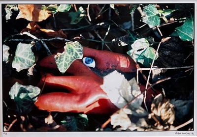 a red stuffed animal with a blue eye laying in the leaves