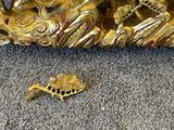 a gold statue on the ground next to a lizard