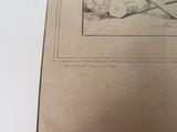 a picture of a drawing of a cat laying on the ground