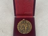 an image of a gold medal in a red box on a white surface