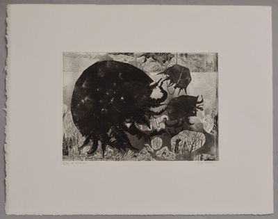 photographie en noir et blanc représentant un ours et un oiseau dans un champ