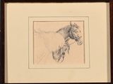 une image représentant un dessin de cheval dans un cadre