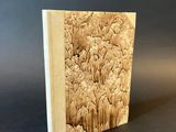 an image of a book with a picture of a mountain scene on it